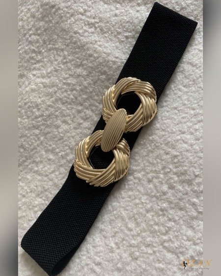 اسود ( ذهبي )